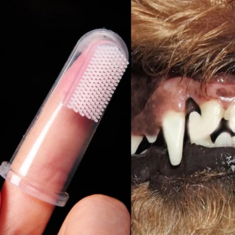 Pet Toothbrush