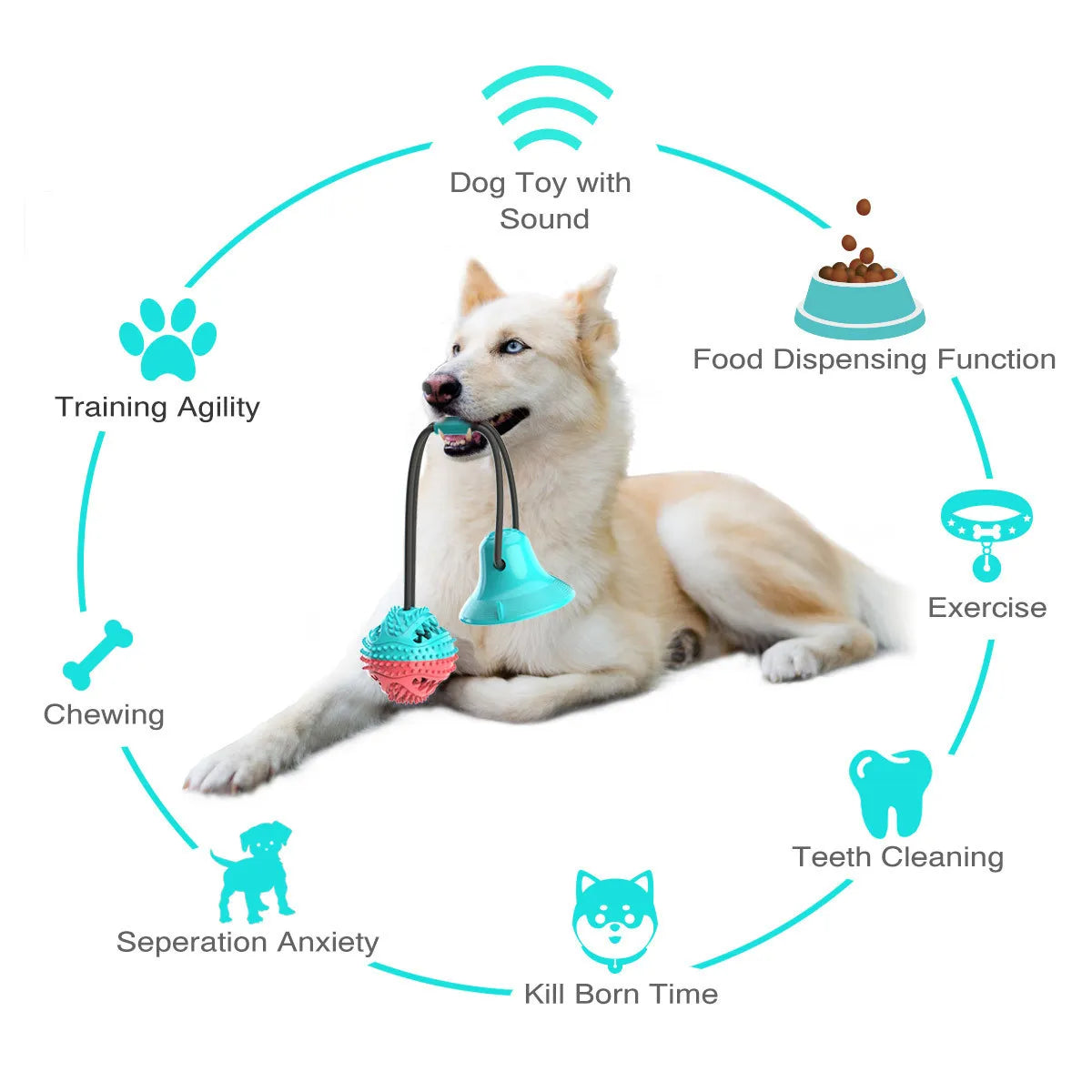 Silicon Suction Cup Dog Slow Feede