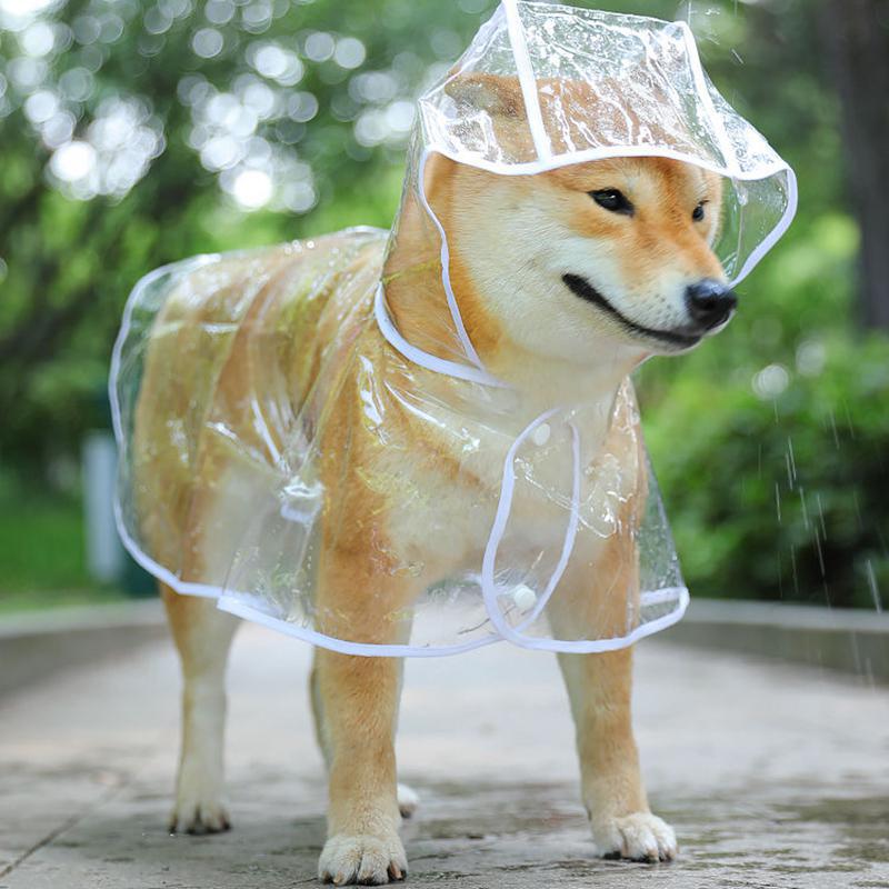 Transparent Rainwear Pet