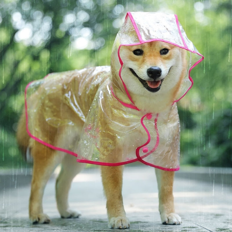 Transparent Rainwear Pet