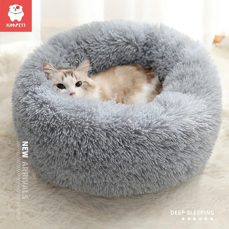 Cat Bed