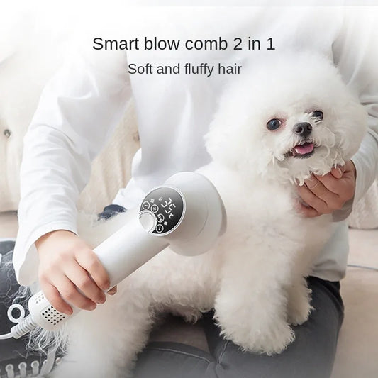 Grooming Intelligent Hair Dryer