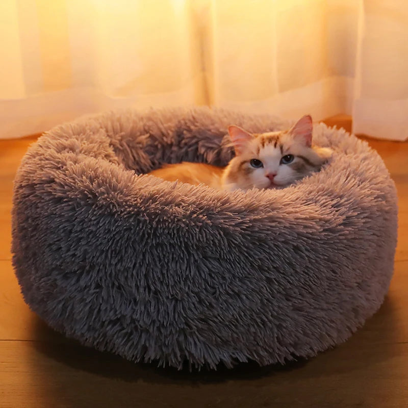 Cat Bed