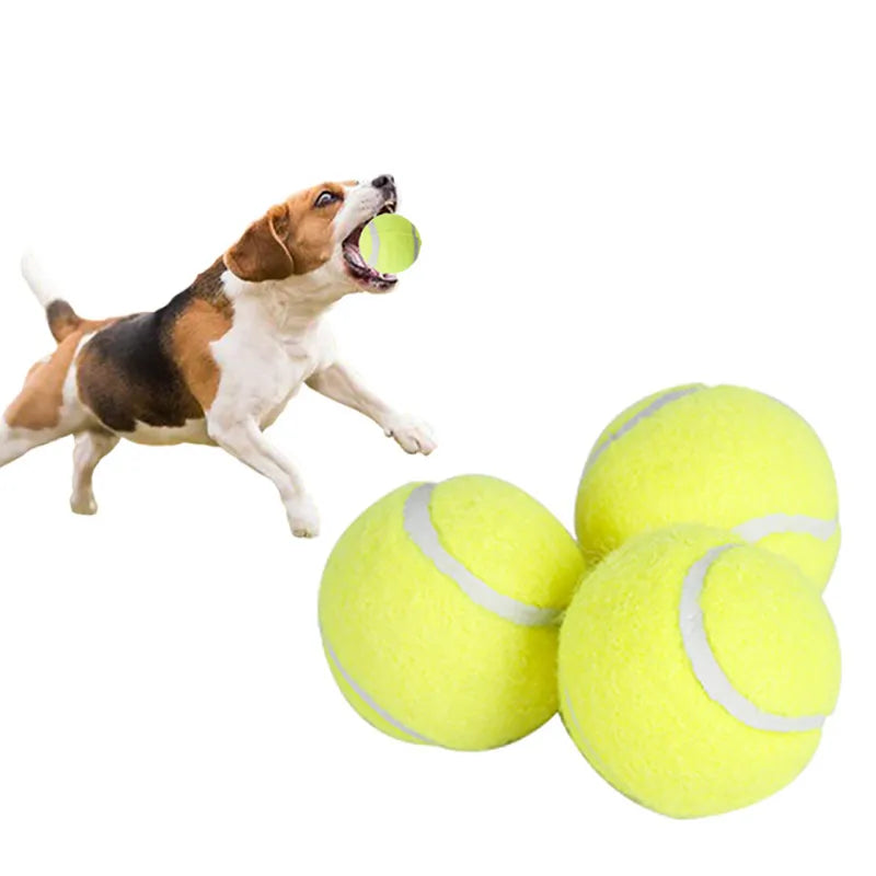 Tennis ball for puppy, interactive toy