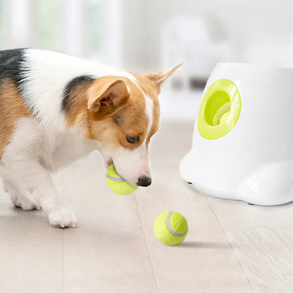 Tennis ball for puppy, interactive toy