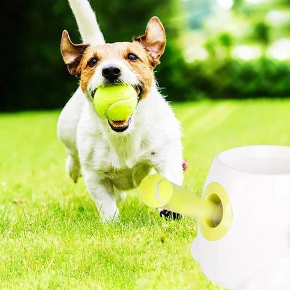 Tennis ball for puppy, interactive toy