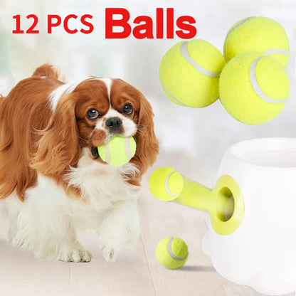 Tennis ball for puppy, interactive toy