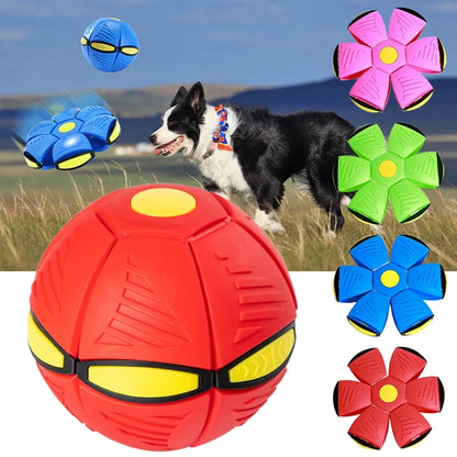 Dog Toys Flying Ball