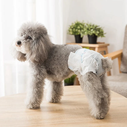 Diaper Sanitary fot Pets Female